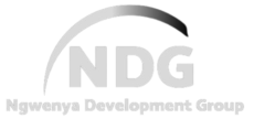 Ngwenya Development Group (NDG)